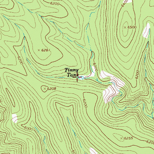Topographic Map of Tinny Tank, AZ