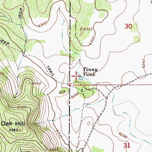 Topographic Map of Tinny Tank, AZ