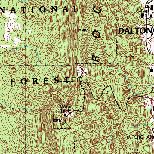 Topographic Map of Rays Gap, GA