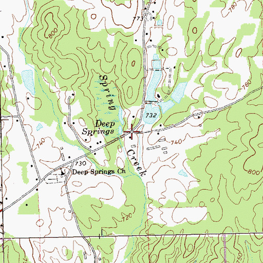 Topographic Map of Ruralvale, GA