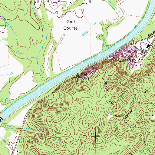 Topographic Map of Blacks Bluff, GA