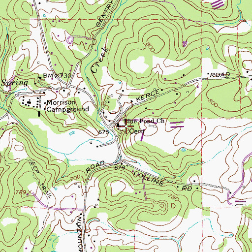 Topographic Map of Blue Pond Cemetery, GA