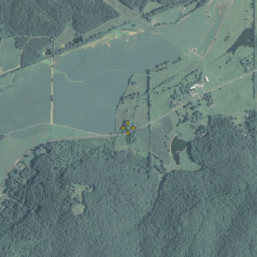 Aerial/Satellite Image of Cress Spring, GA