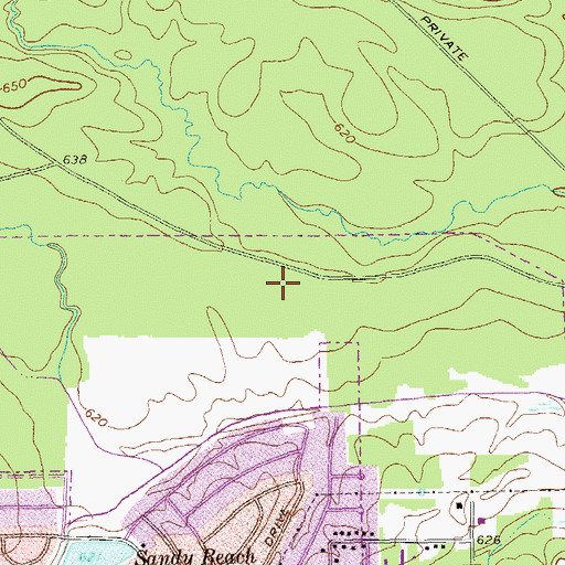 Topographic Map of The Flat Woods, GA
