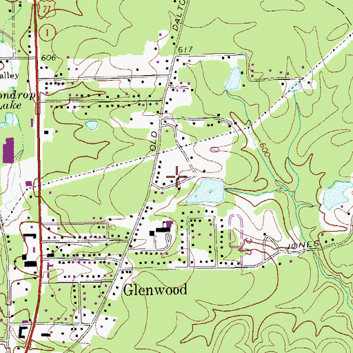 Topographic Map of Grace Church, GA