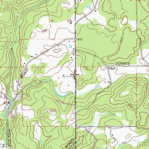 Topographic Map of Remnant Seed Church, GA