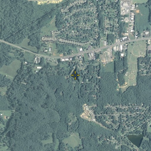 Aerial/Satellite Image of Rices Spring, GA