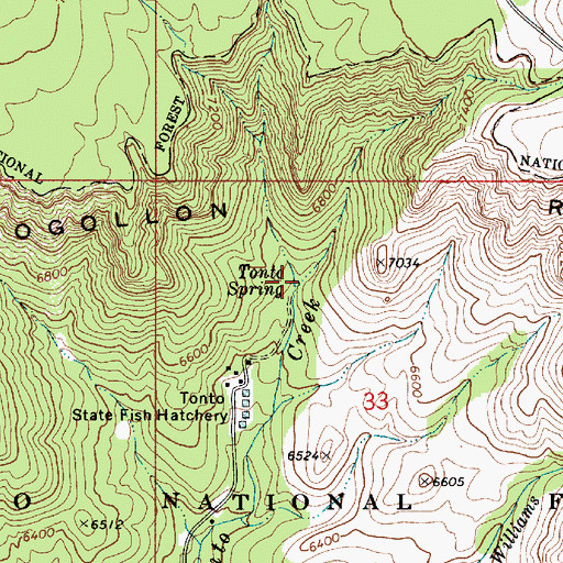 Topographic Map of Tonto Spring, AZ
