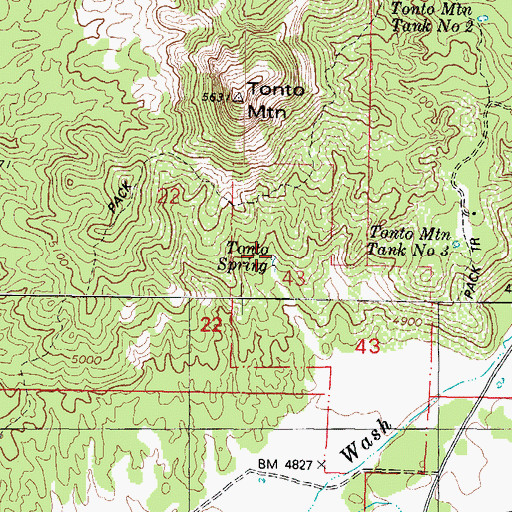 Topographic Map of Tonto Spring, AZ
