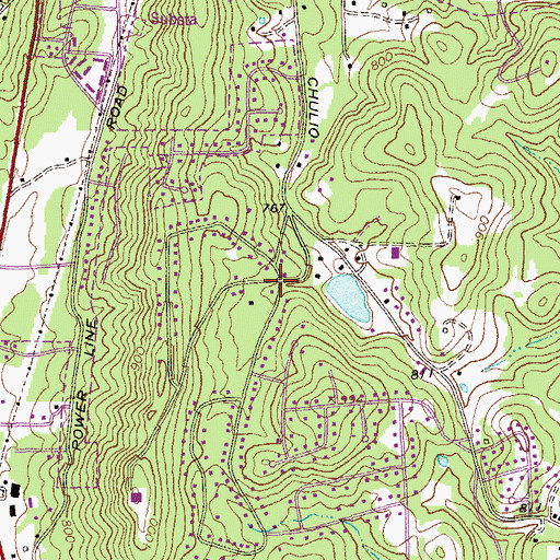 Topographic Map of Twickenham, GA
