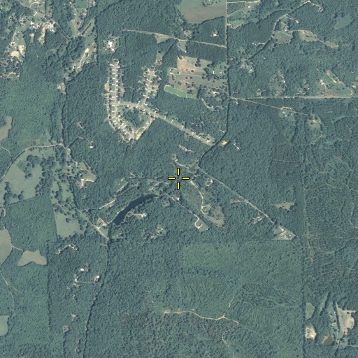 Aerial/Satellite Image of Youngs Mill Spring, GA