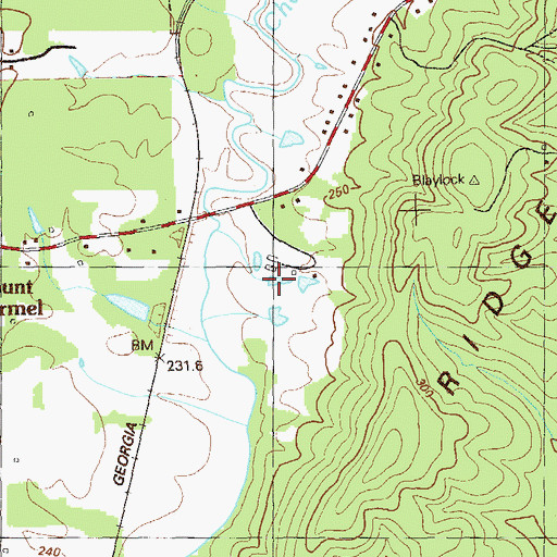 Topographic Map of Blaylock Mill Pond, GA