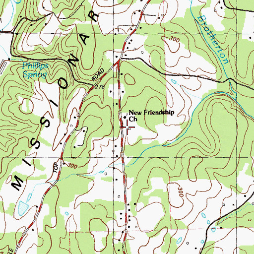Topographic Map of New Friendship Church, GA