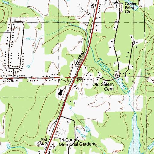 Topographic Map of Salem (historical), GA