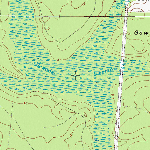 Topographic Map of Glencoe Swamp, GA