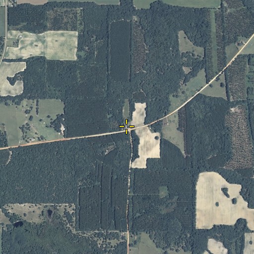 Aerial/Satellite Image of Allens Chapel, GA
