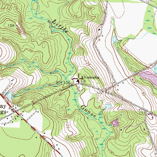Topographic Map of Altamaha Church, GA