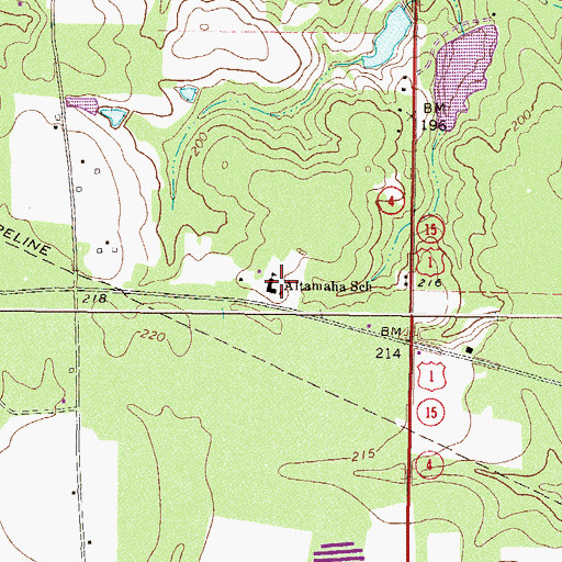 Topographic Map of Altamaha Elementary School, GA