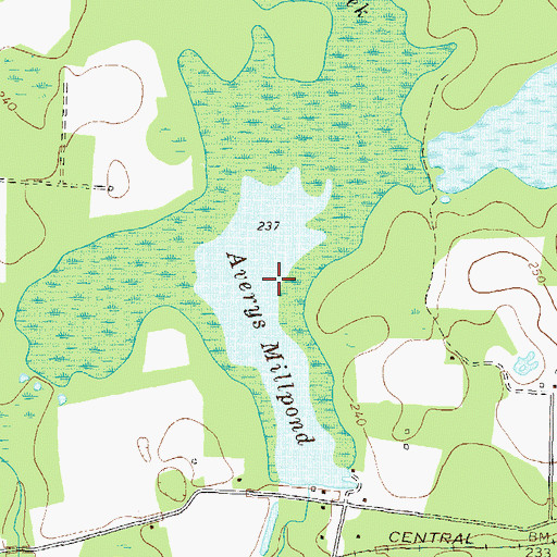 Topographic Map of Averys Millpond, GA