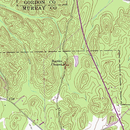 Topographic Map of Banks Chapel, GA