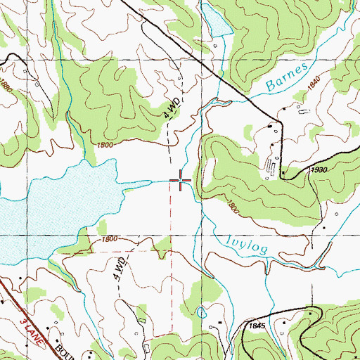 Topographic Map of Barnes Creek, GA