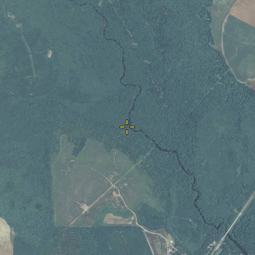 Aerial/Satellite Image of Bear Creek, GA