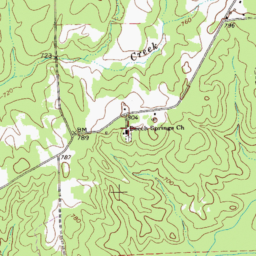 Topographic Map of Beech Springs Church, GA