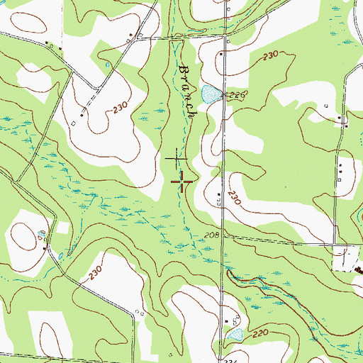 Topographic Map of Big Branch, GA