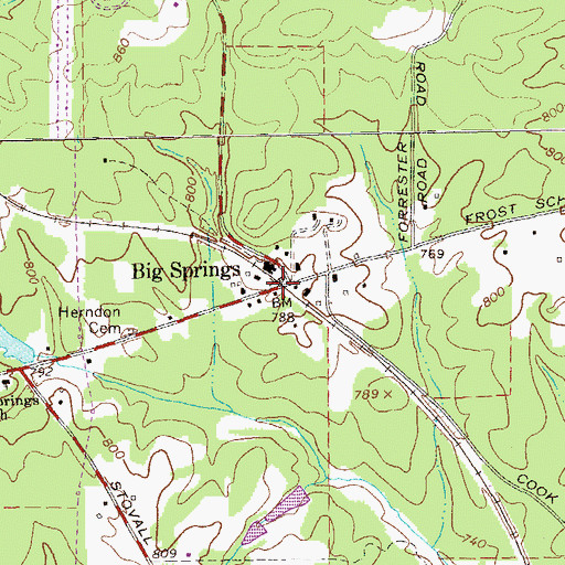 Topographic Map of Big Springs, GA