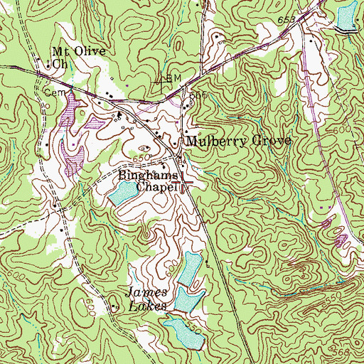 Topographic Map of Binghams Chapel, GA