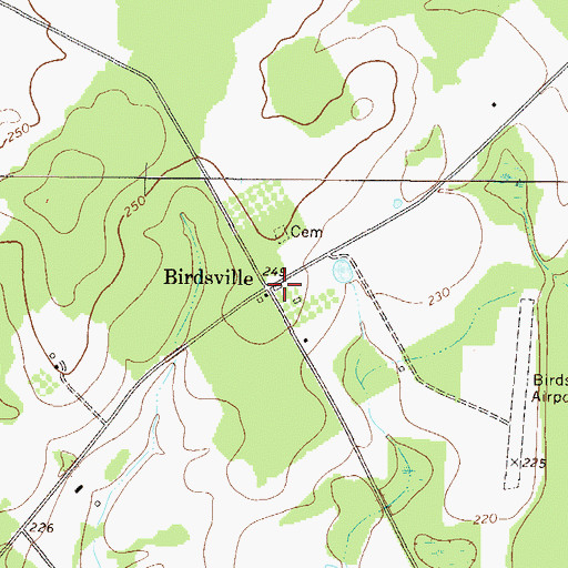 Topographic Map of Birdsville, GA