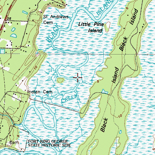 Topographic Map of Black Island Creek, GA