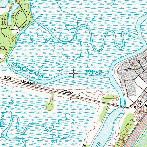 Topographic Map of Blackbank River, GA