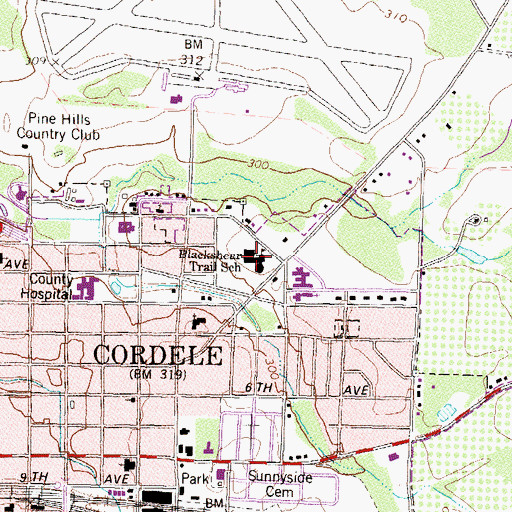 Topographic Map of Blackshear Trail School, GA