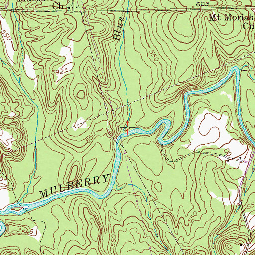 Topographic Map of Blue Spring Branch, GA