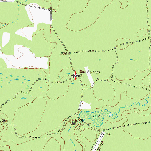 Topographic Map of Blue Springs Church, GA
