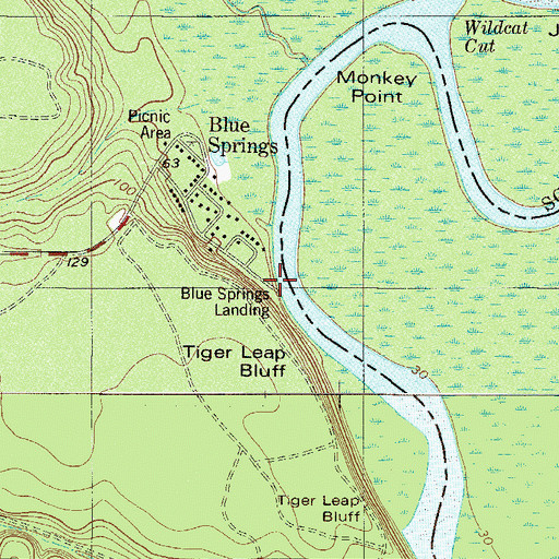 Topographic Map of Blue Springs Landing, GA