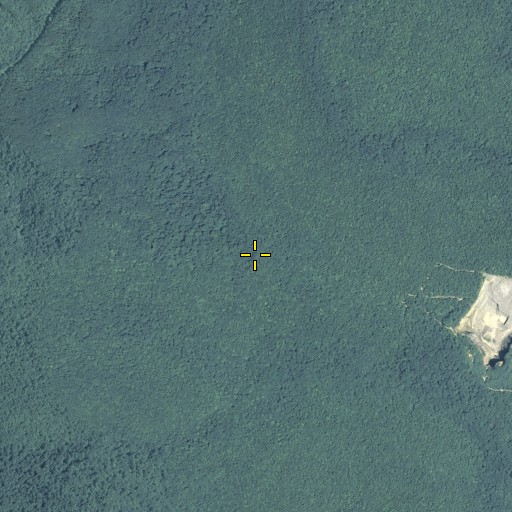 Aerial/Satellite Image of Bluebird Gap, GA