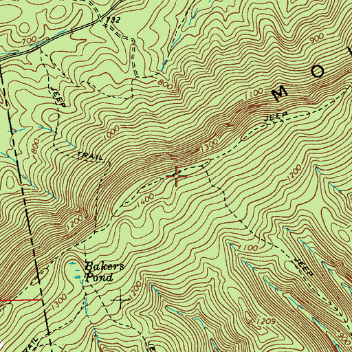 Topographic Map of Bogan Mountain, GA