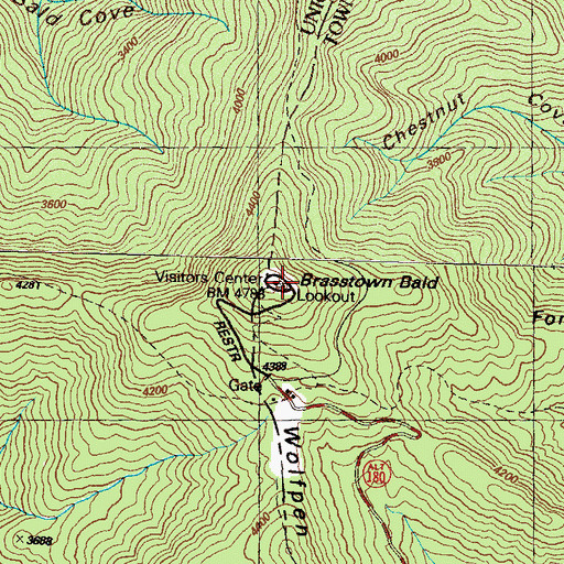 Topographic Map of Brasstown Bald, GA