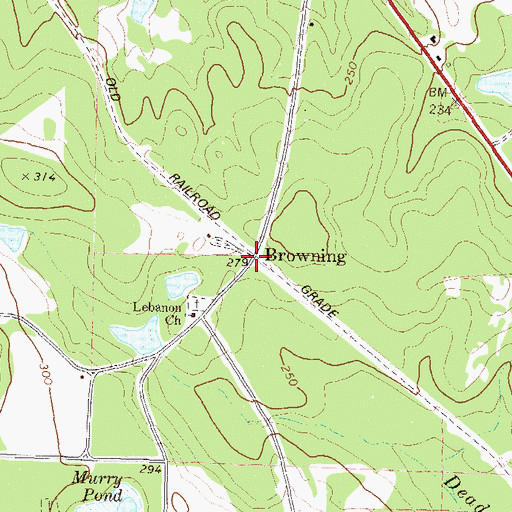 Topographic Map of Browning, GA