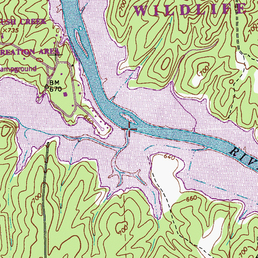 Topographic Map of Brush Creek, GA