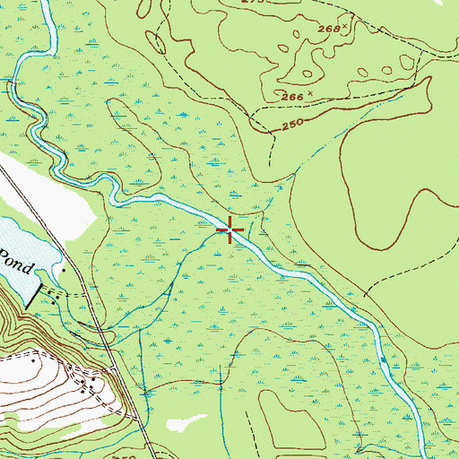 Topographic Map of Brushy Creek, GA