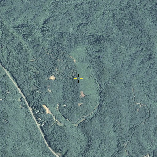 Aerial/Satellite Image of Buck Knob, GA