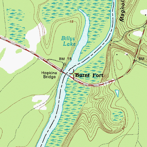 Topographic Map of Burnt Fort, GA