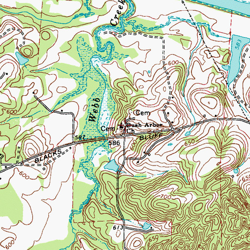Topographic Map of Bush Arbor Church, GA