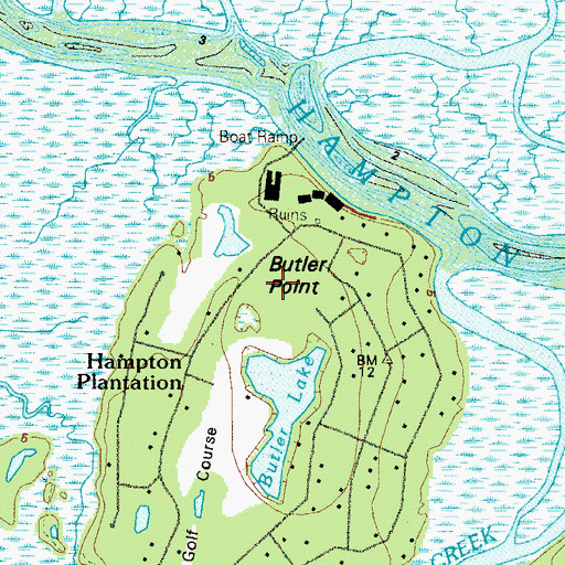 Topographic Map of Butler Point, GA