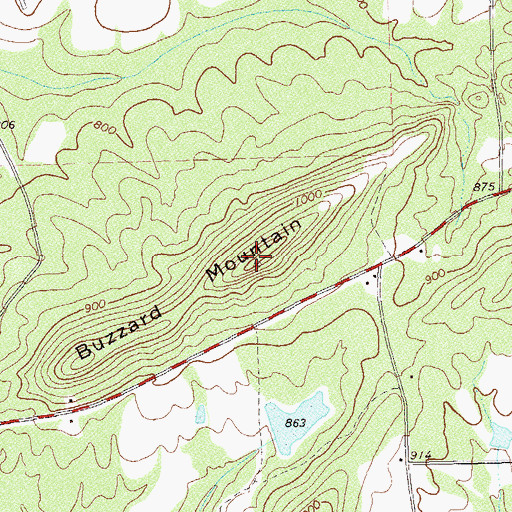 Topographic Map of Buzzard Mountain, GA