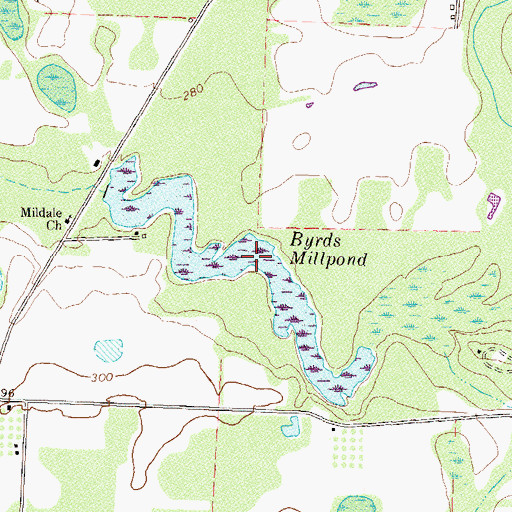 Topographic Map of Byrds Millpond, GA