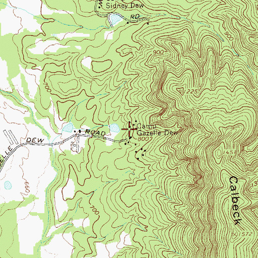 Topographic Map of Camp Gazelle Dew, GA